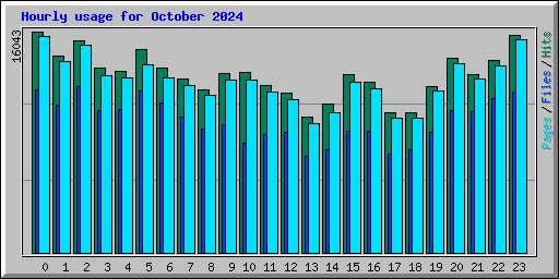 Hourly usage for October 2024
