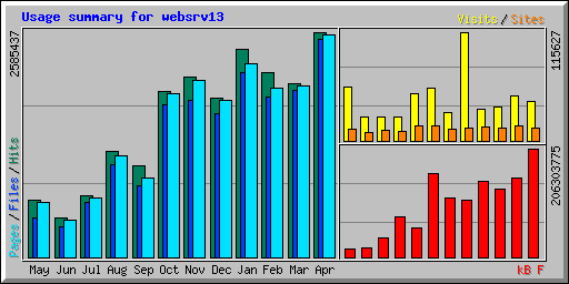 Usage summary for websrv13